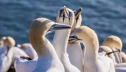 时时彩|水上运动赛事v4.1.3