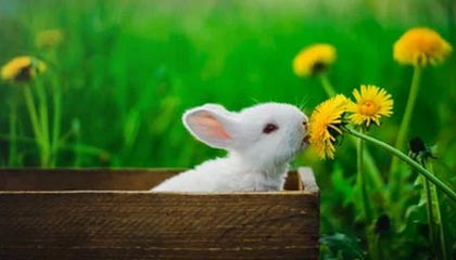 时时彩|足球赛事v7.7.1