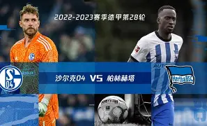 沙尔克终结连胜,德甲主帅形势堪忧 沙尔克终结连胜,德甲主帅形势堪忧